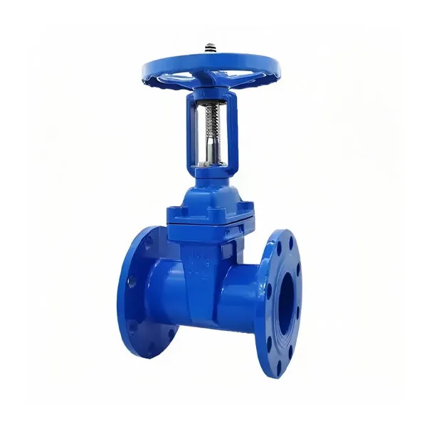 Промышленные задвижки: надежная защита в суровых условиях, постоянное развитие в специализированных областях