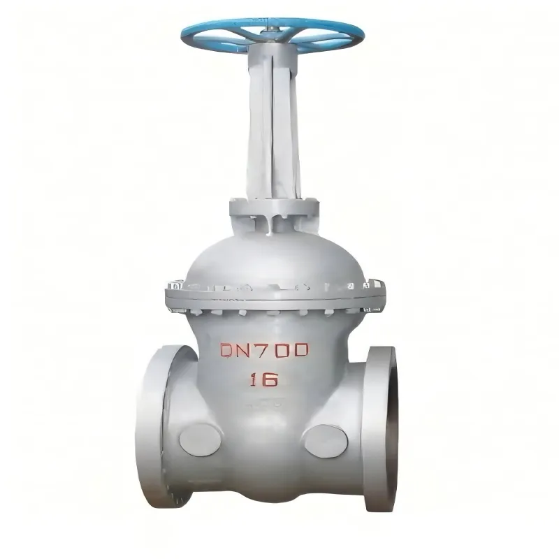 Сероводородостойкая задвижка