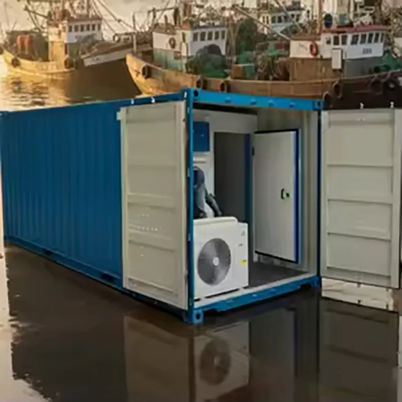 Контейнерный холодильный склад