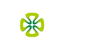 logo2