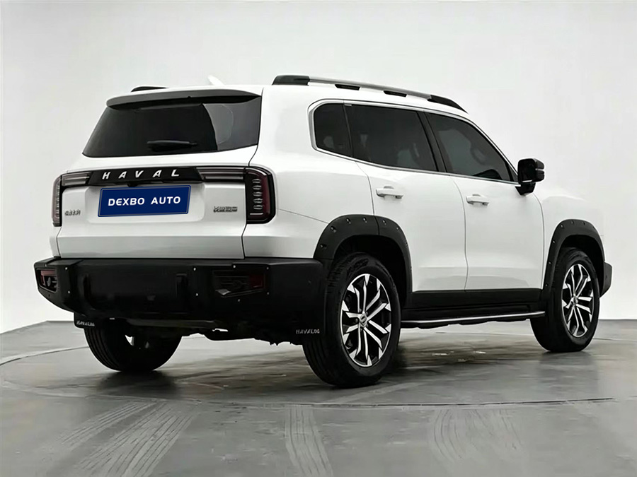 2022哈弗大狗-5