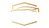 logo11
