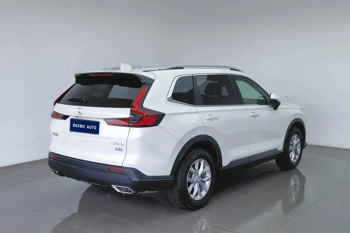 微信图片_2026-02-11_183844_136