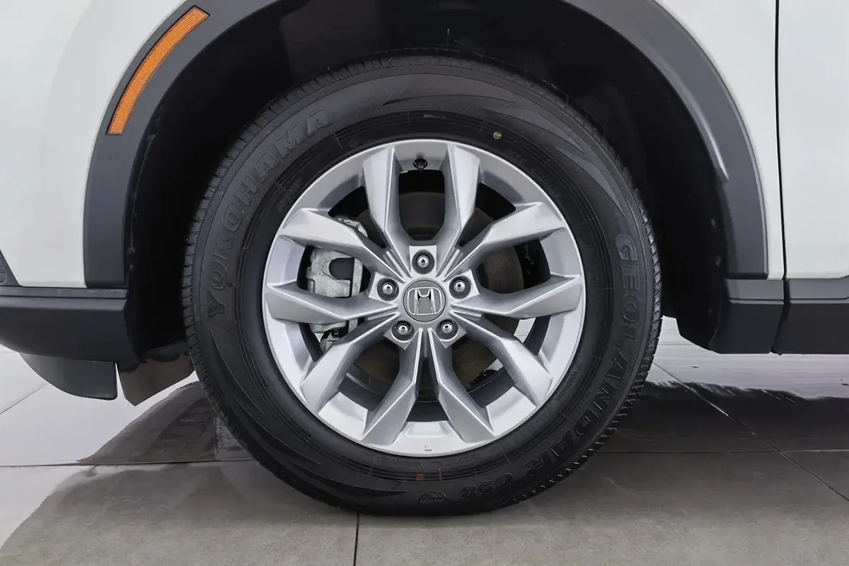 微信图片_2026-02-11_184015_767