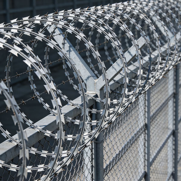 Колючая лента с ножевыми шипами