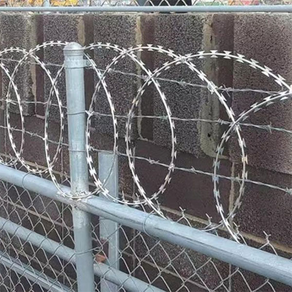 Колючая лента с ножевыми шипами