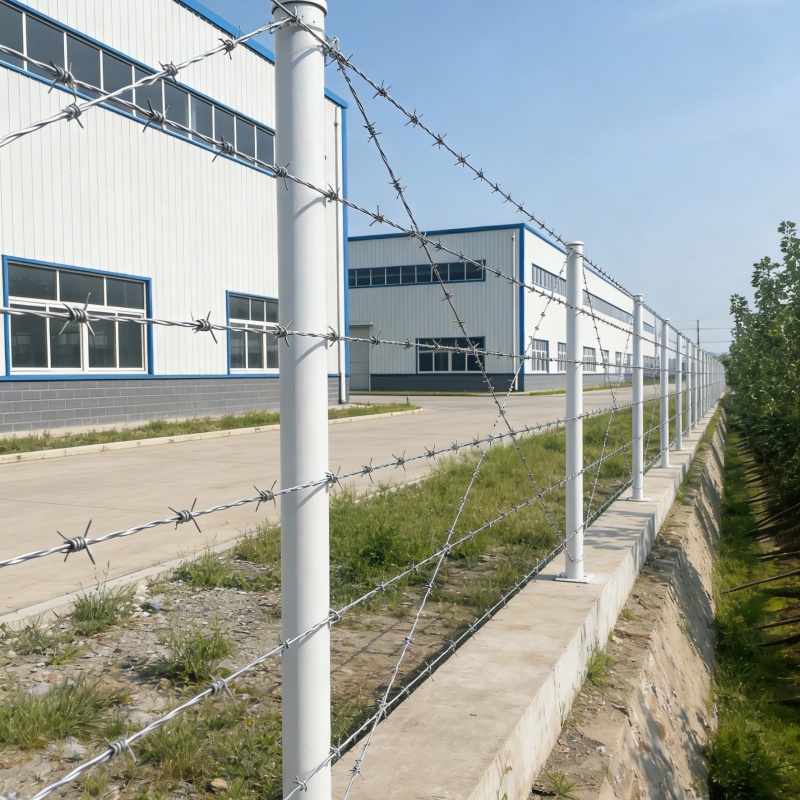 Колючая проволока