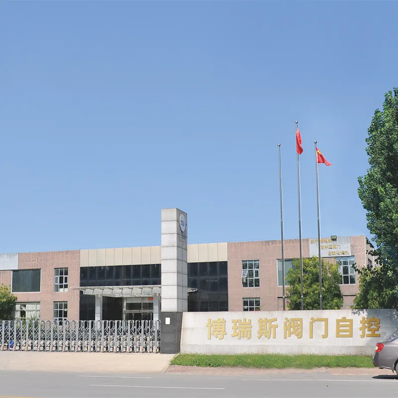 Строим гнездо, чтобы привлечь фениксов отправляемся в новое путешествие. Компания Tianjin Boris Valves переезжает в промышленный парк Baodi Jiuyuan.