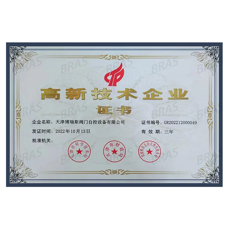 Хорошие новости! Компания Tianjin Boris Valve and Automatic Control Equipment Co., Ltd. была успешно признана высокотехнологичным предприятием.