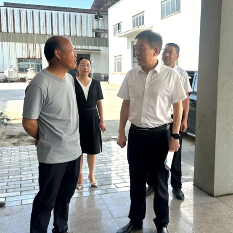 Секретарь уезда посетил ооо аньхойское акционерное общество электрооборудования