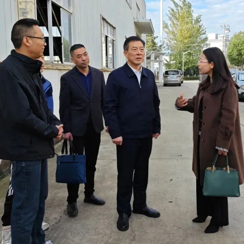 12 ноября секретарь уездного комитета партии Чжу Сяобин возглавил команду, углубляющуюся в район цзинкай уезда, чтобы провести вход на предприятие, изучение фактов, выслушать мнения, решить проблемы, проделать большую работу в течение 70 дней и выиграть четыре квартала, чтобы посетить исследовательскую деятельность, лицом к лицу понять состояние работы предприятия, эффективно и скоординированно решить проблемы развития, повысить уверенность и активизировать развитие предприятия.