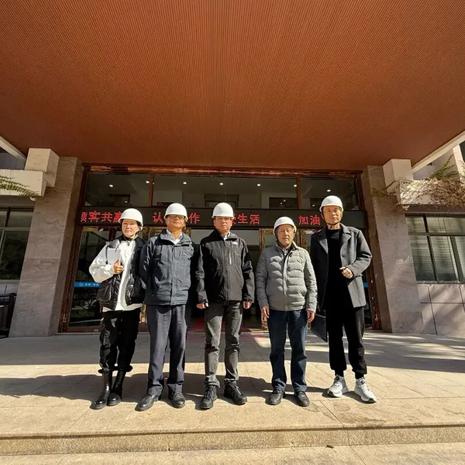 Правительство и предприятия работают вместе, чтобы обогреть предприятия и начать новый путь зеленых инноваций и развития -Ассоциация содействия экологической цивилизации Лишуи провела опрос о посещении предприятия ”Зима дарит тепло”