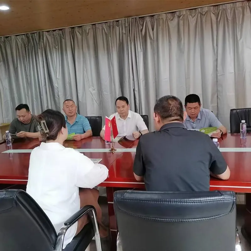 Компания ООО Сычуань Дэсия Развлекательное Оборудование приняла делегацию Управления спорта города Гуаньюань для совместного обсуждения новых возможностей развития спортивной индустрии