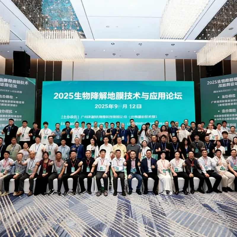 Председатель совета директоров «Цзинань Синьсан...