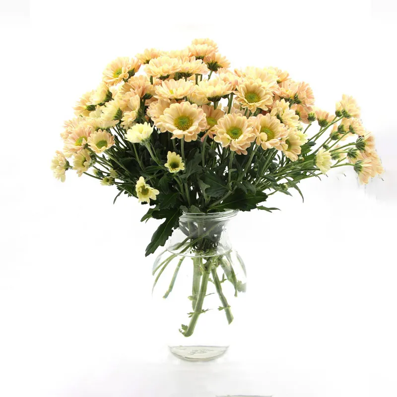 Стеклянная ваза 1999 оптом для праздничных распродаж, простая модель