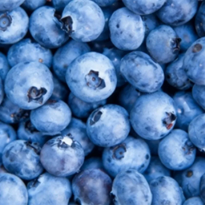 Быстро замороженная голубика