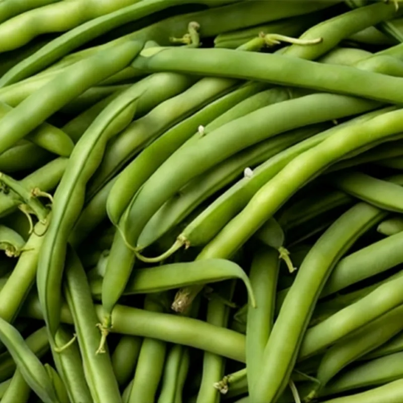 Быстро замороженная зелёная стручковая фасоль