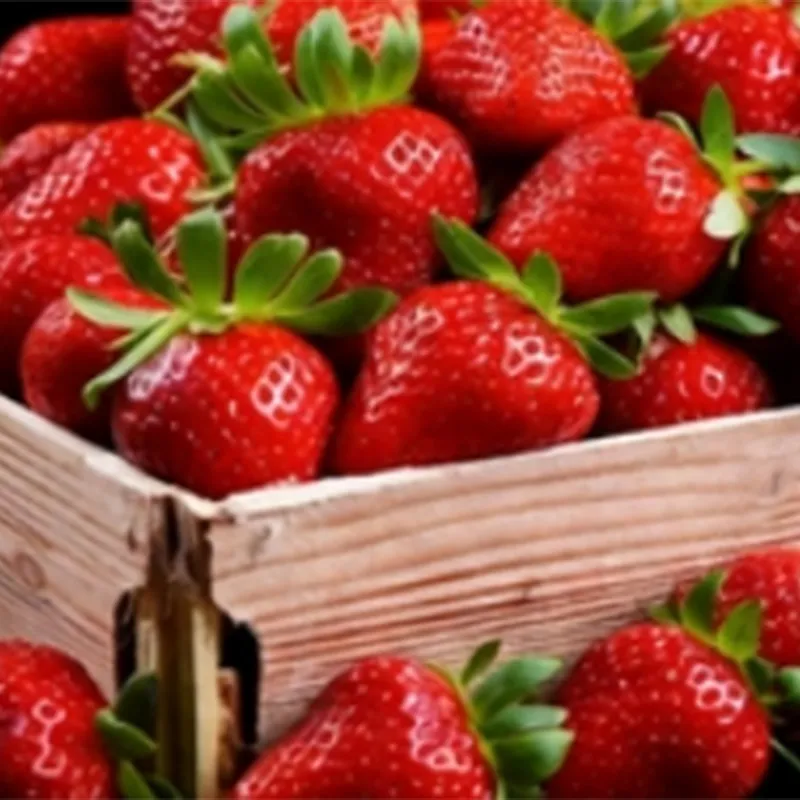 Быстро замороженная клубника