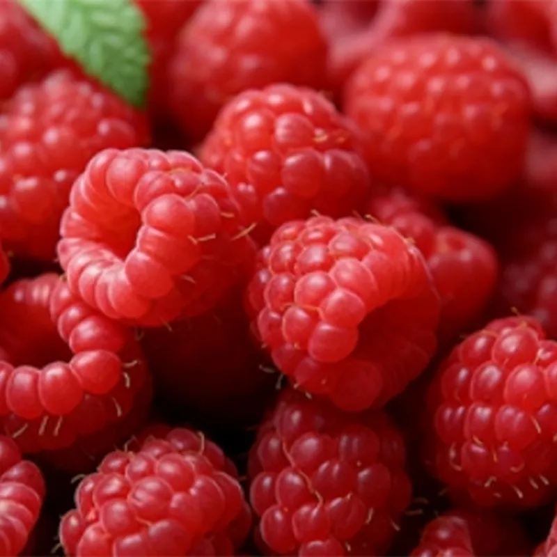 Быстро замороженная красная малина