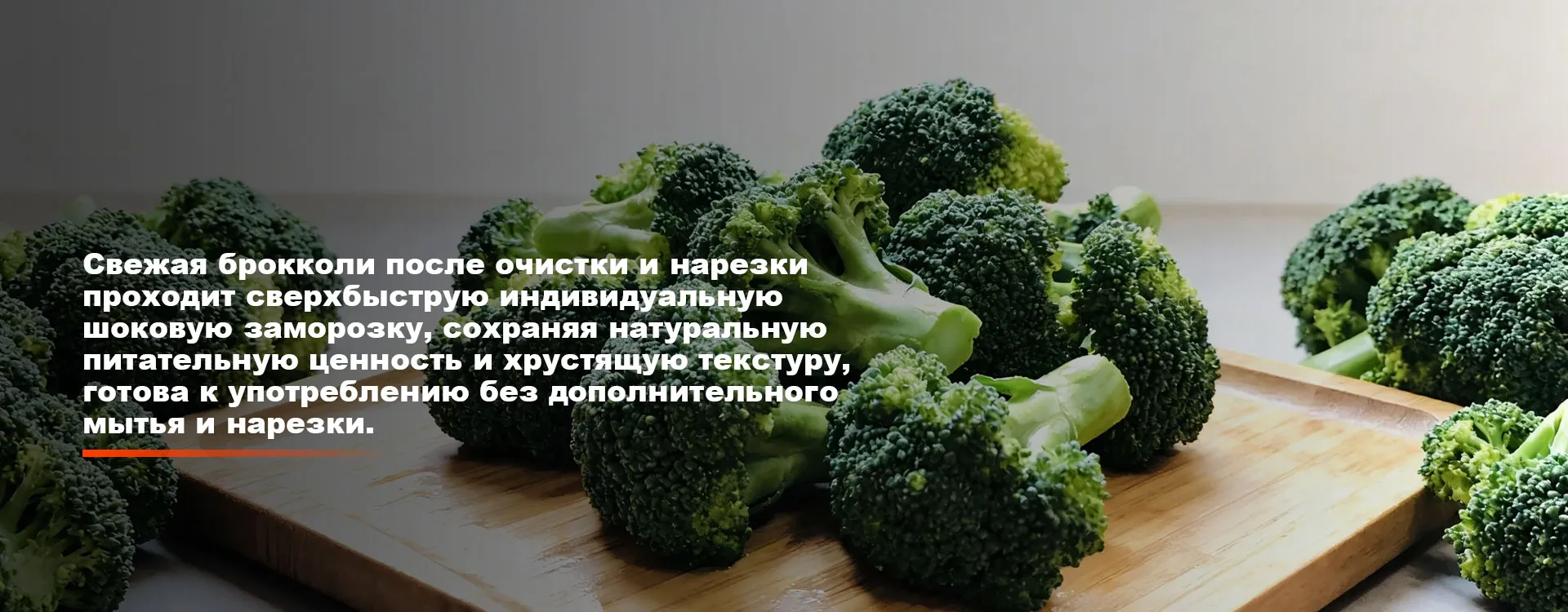 Быстро замороженные овощиbanner1