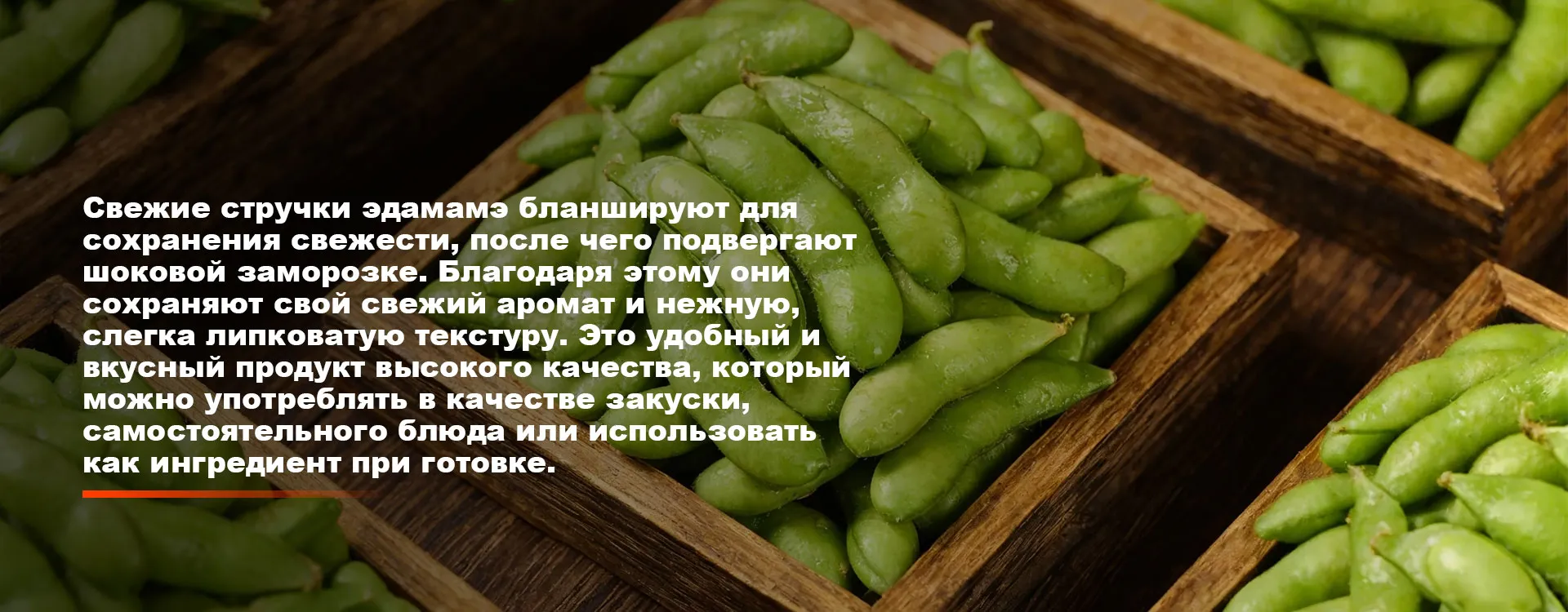 Быстро замороженные овощиbanner2