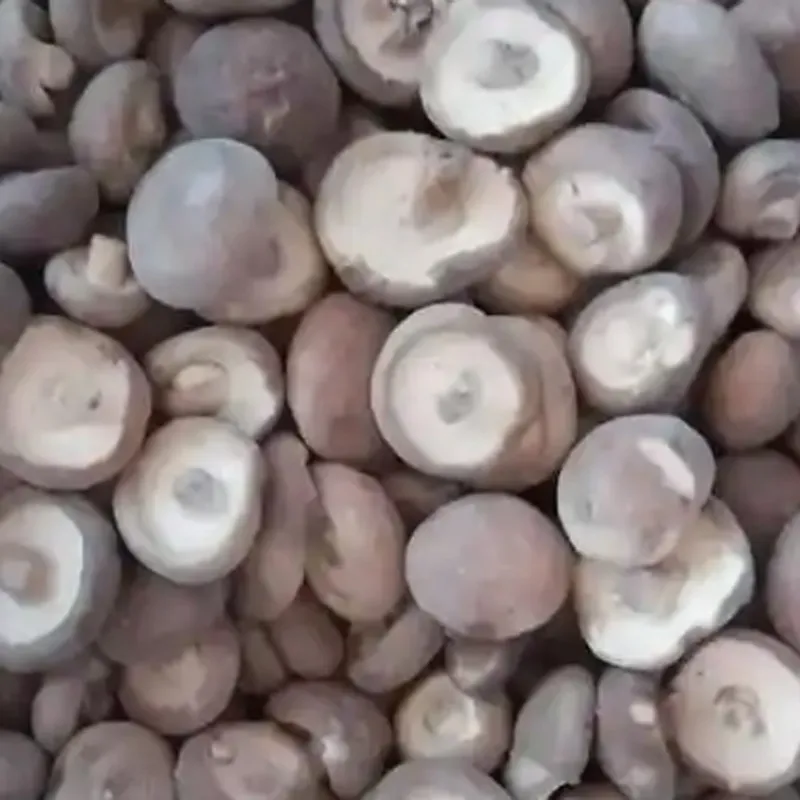 Быстро замороженные шампиньоны