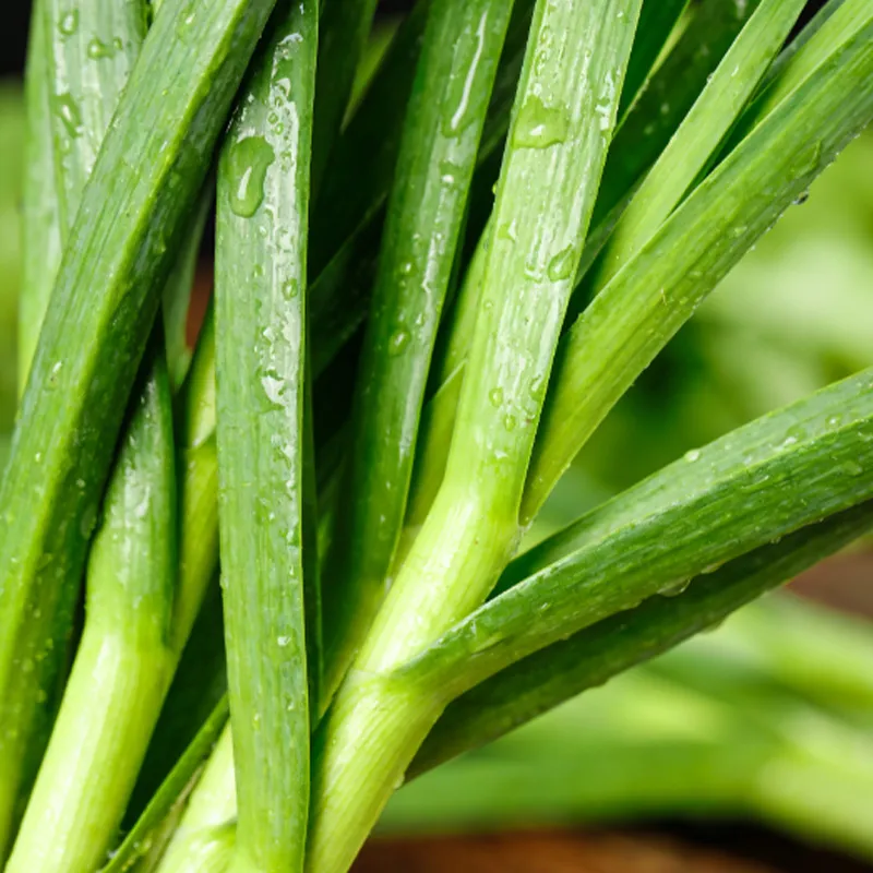 Быстро замороженный зелёный чеснок