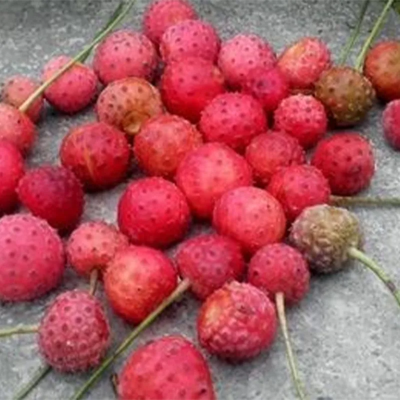 Быстро замороженный личи