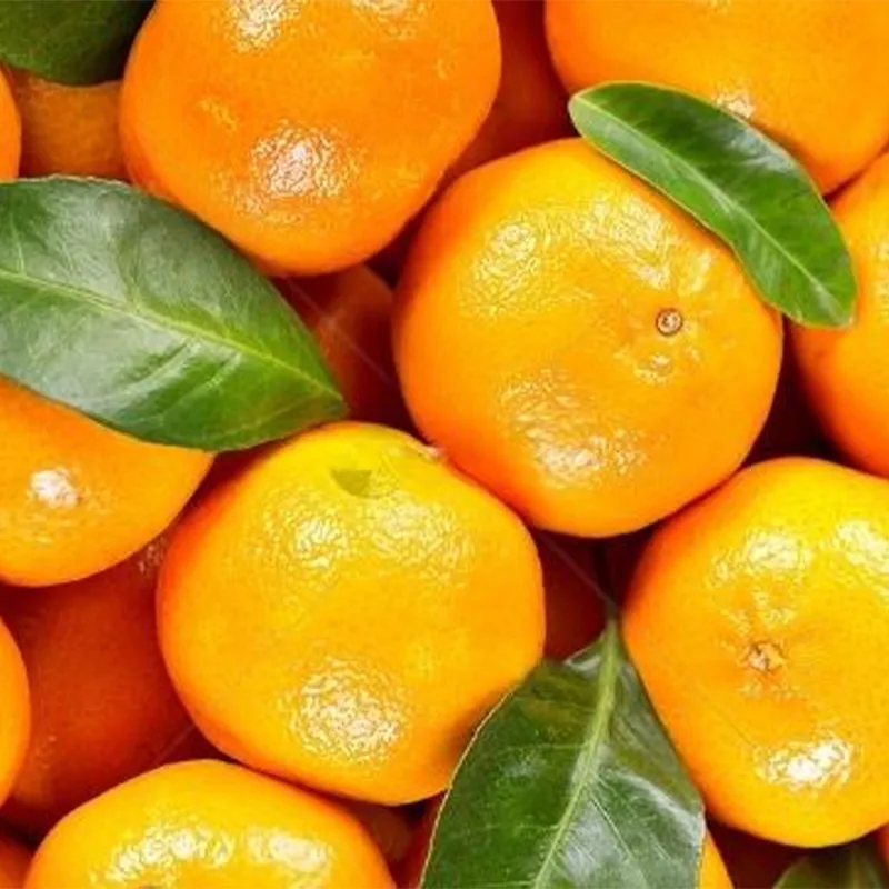 Быстро замороженный мандарин