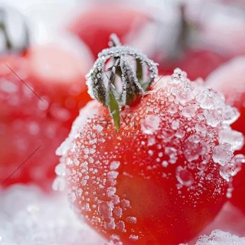 Быстро замороженный помидор