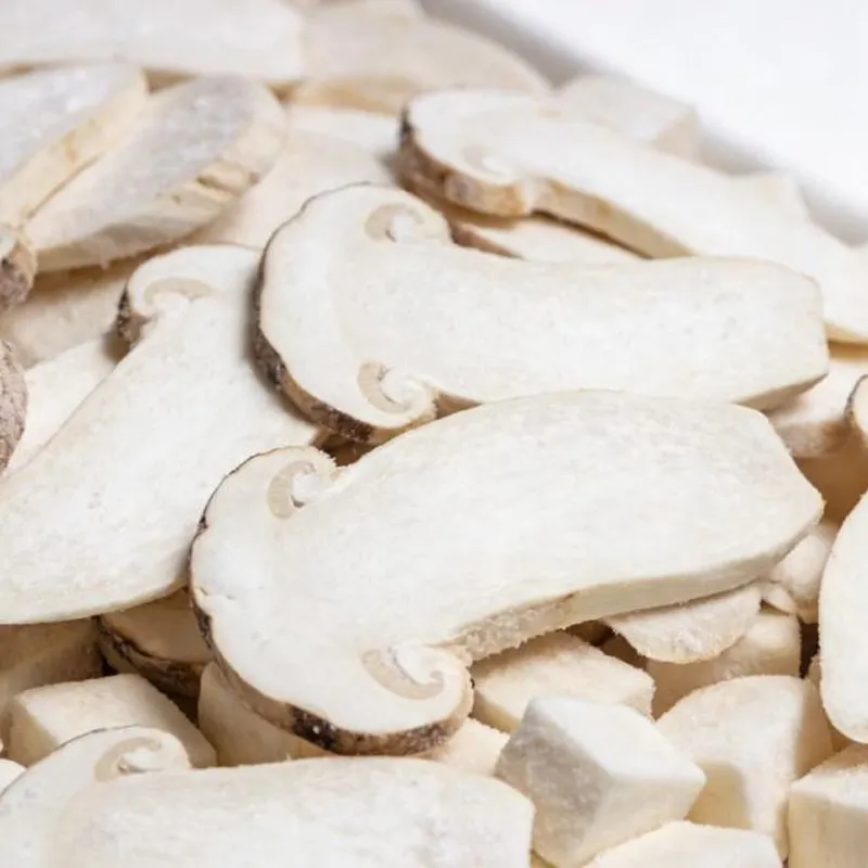 Вешенка королевская