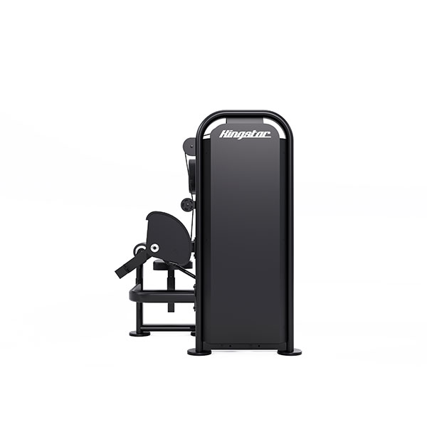 HB-S38, KINGSTAR — тренажёр с выбором нагрузки (PIN-SELECTED) для мышц пресса (Abdominal Machine)