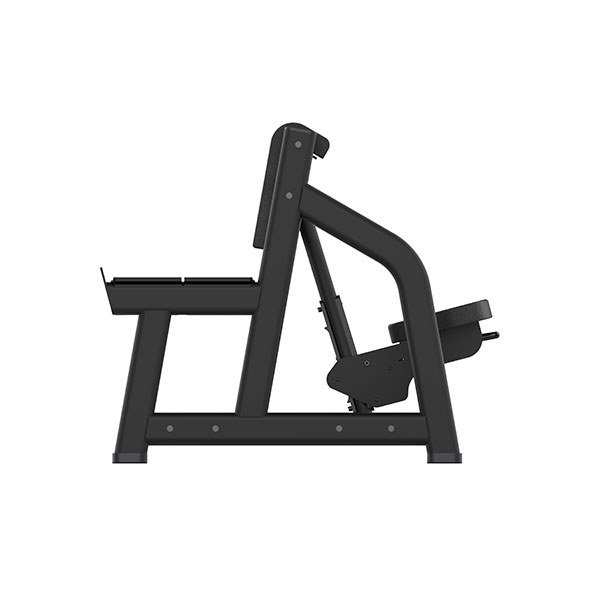 PL20, KINGSTAR – armcurl (biceps) med tallriksbelastning
