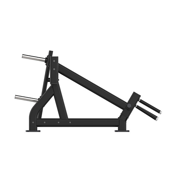 PL22, KINGSTAR - squats և lunges ափսեի ծանրաբեռնվածությամբ