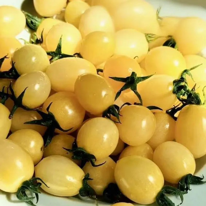 Крупноплодный белый помидор «Мэнсян Байюй»