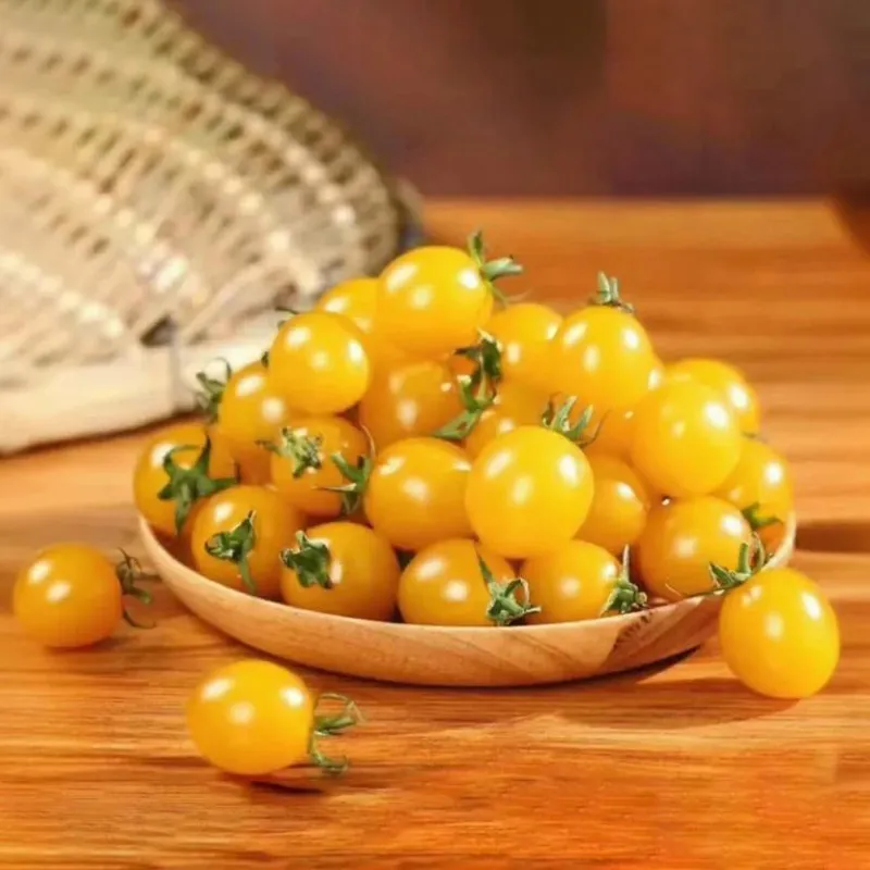 Крупноплодный помидор «Мэнсян Цзиньдоу 2»