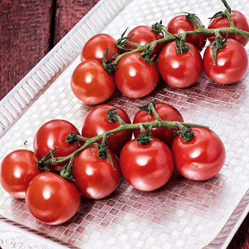 Крупноплодный помидор «Мэнсян Чжэньтянь 5»