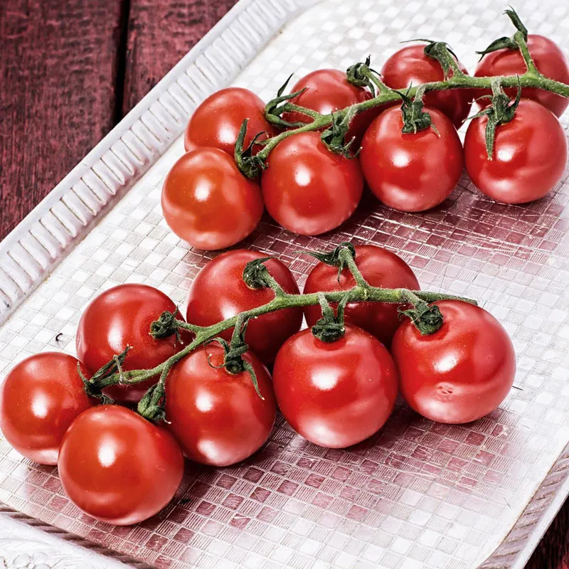 Мелкоплодный помидор «Мэнсян Чжэньтянь 5»