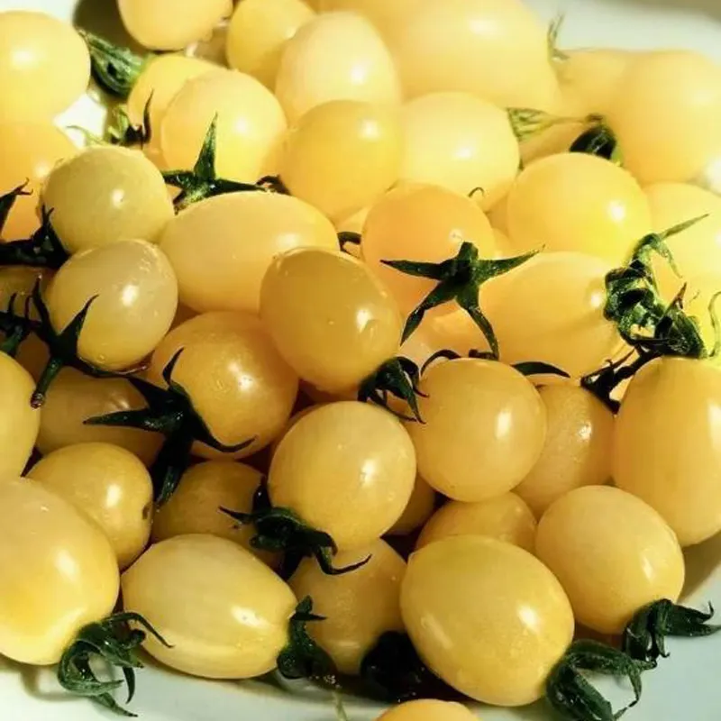 Среднеплодный белый помидор «Мэнсян Байюй»