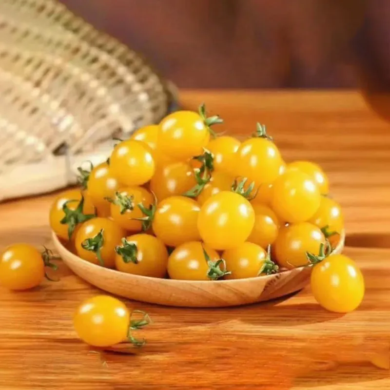 Среднеплодный помидор «Мэнсян Цзиньдоу 2»