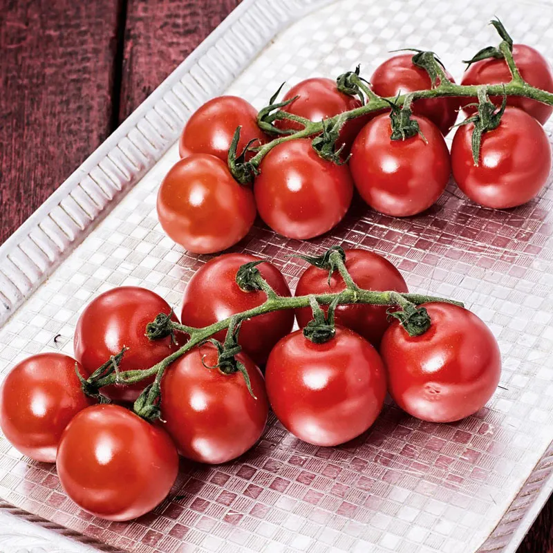 Среднеплодный помидор «Мэнсян Чжэньтянь 5»