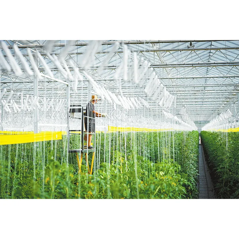 В чём принцип работы теплицы?