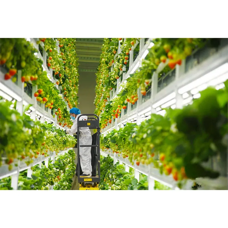 Применение теплиц в агротуризме для отдыха