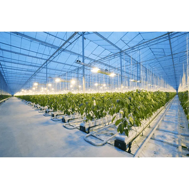 Сравнение «умных» теплиц и традиционных теплиц.