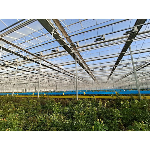 Основные моменты, которые следует учитывать при строительстве теплиц.