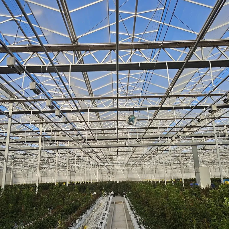 Распространенные способы открывания окон в стеклянных теплицах