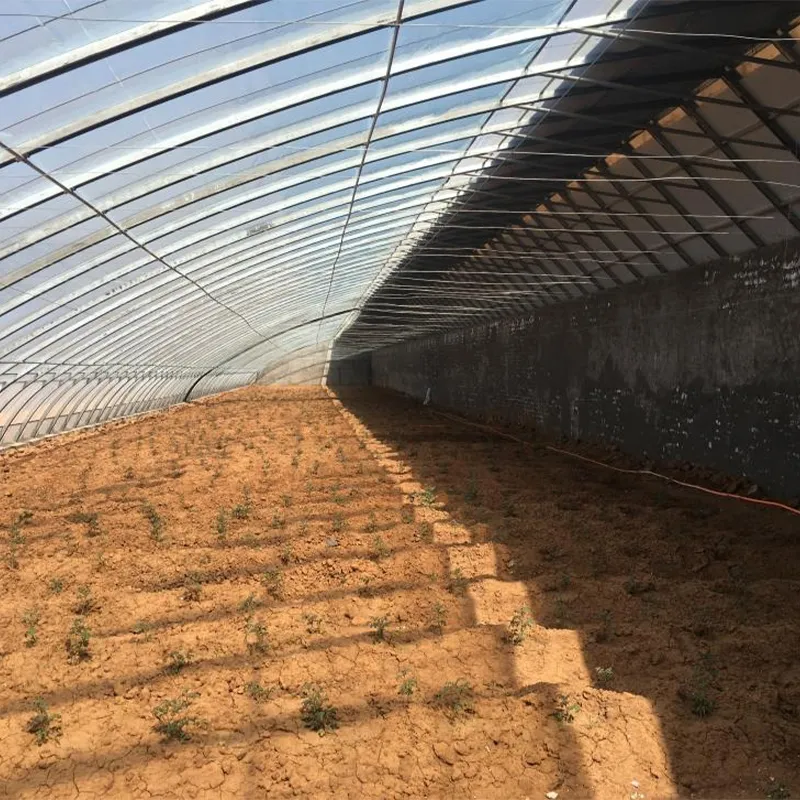 Какие теплицы подходят для строительства в разных регионах