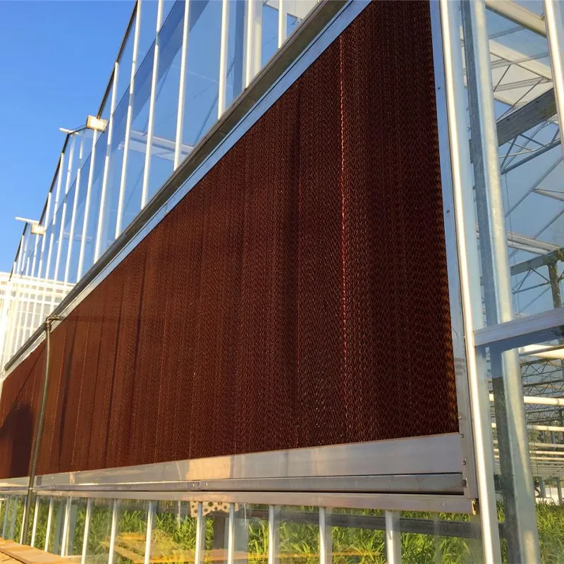 Роль системы влажных завес для вентилятора теплицы