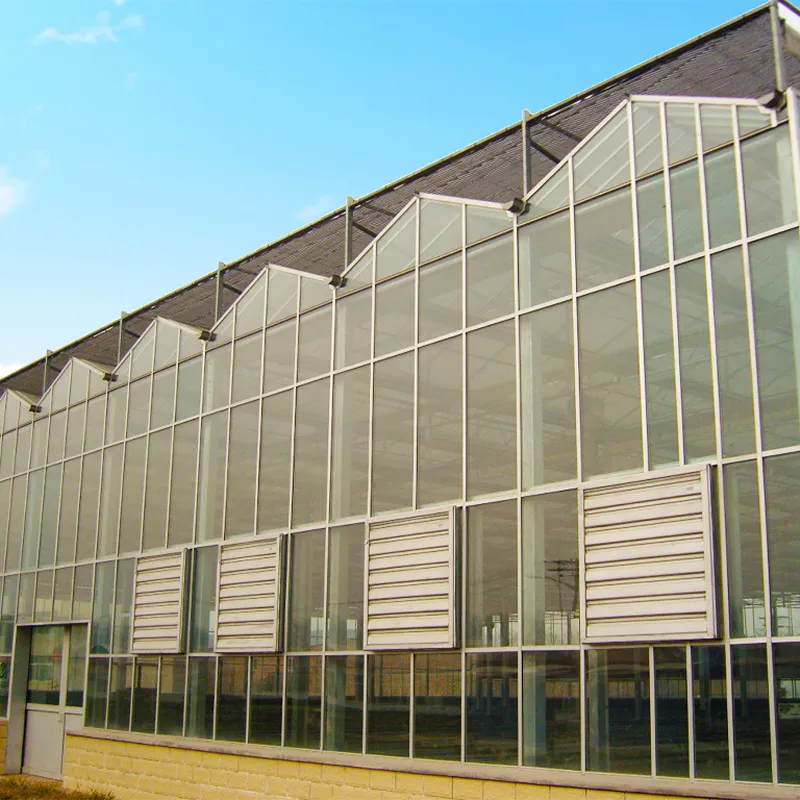 Несколько категорий теплиц