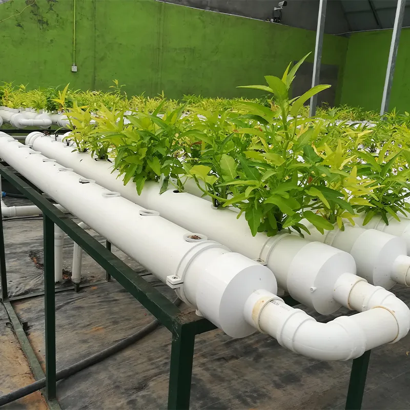 Вертикальные гидропонные установки